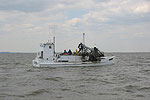 Delaware Bay Oyster Fishing